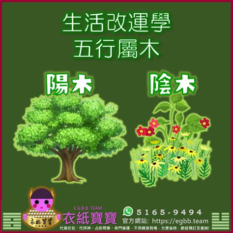 木屬性的工作|【命格屬木】的人必讀！木屬性全面分析與你應該注意的事 